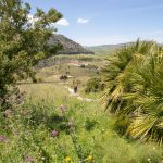 Ballade surprenante autour du temple grec de Sagesta