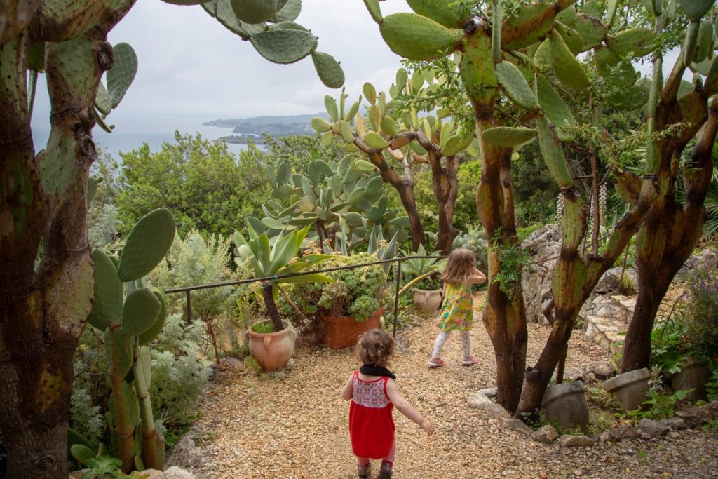 Jardin d'un Airbnb inattendu à Zingaro