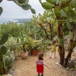 Jardin d'un Airbnb inattendu à Zingaro
