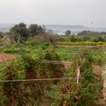 L'île de Gozo : une destination encore secrète, sauvage et rurale