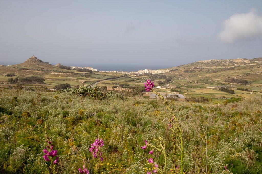 En route pour Marsalform, petite station balnéaire et de plongée de Gozo