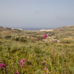 En route pour Marsalform, petite station balnéaire et de plongée de Gozo