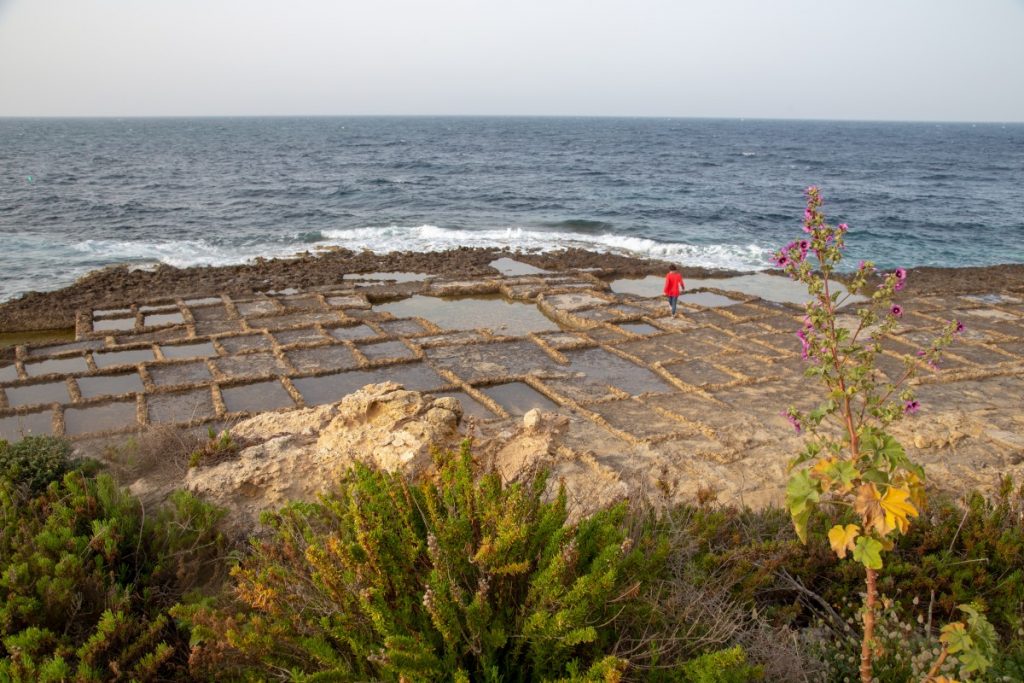 Marais salants de Marsalform