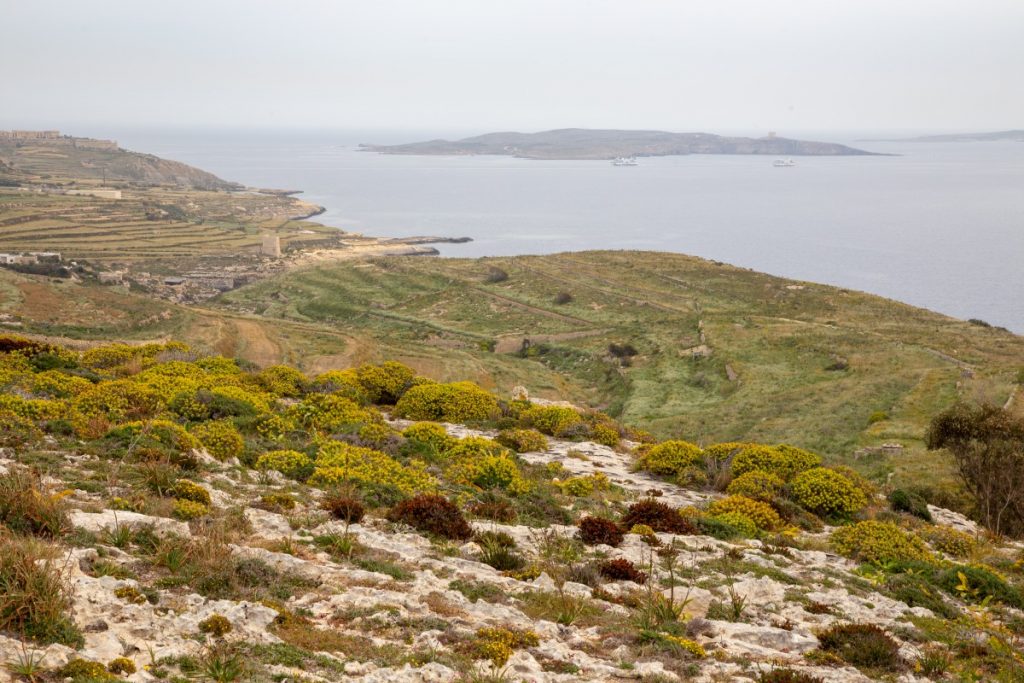 Vue sur l'île de Comino et de Malte depuis le sud de l'île de Gozo