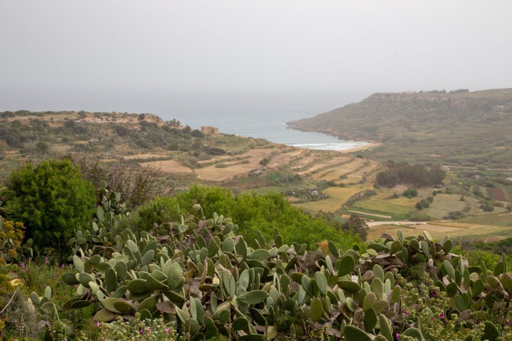 Randonner sur les sentiers côtiers à Gozo : de Xaghra à Ramla Bay