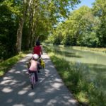 Sous les platanes le long du Canal de la Garonne