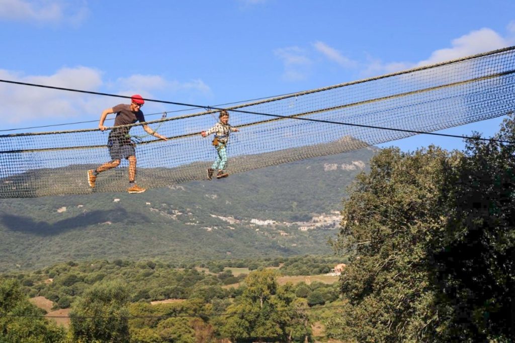 Et pourquoi pas un acrobranche ?