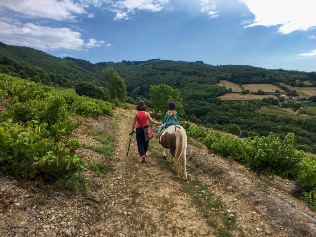 Promenade à poney dans le Beaujolais vert