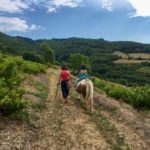 Promenade à poney dans le Beaujolais vert