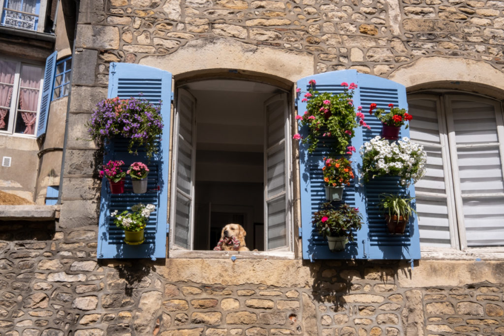 Accueil chaleureux des bourguignons