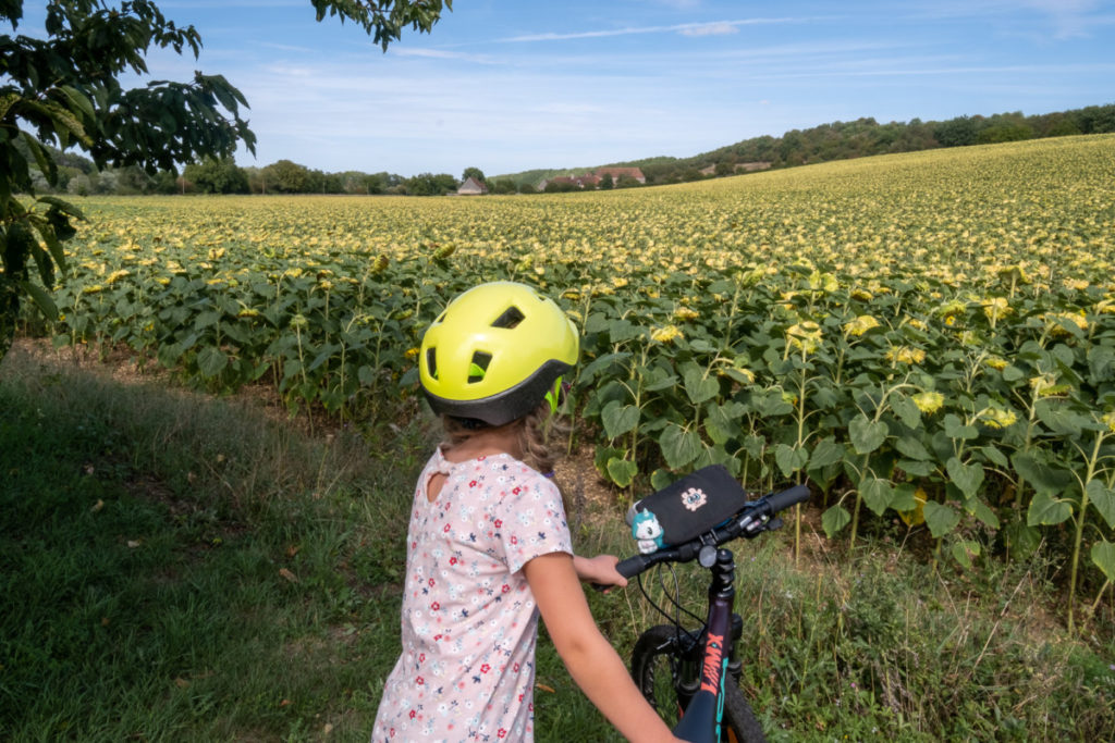 Un voyage à vélo contemplatif