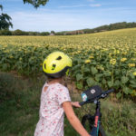 Un voyage à vélo contemplatif