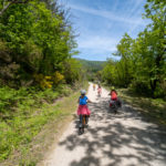 Voyage à vélo au coeur du parc naturel du haut-Languedoc