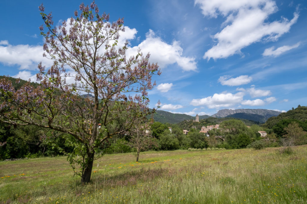 Arrivée au village d'Olargues