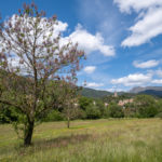 Arrivée au village d'Olargues