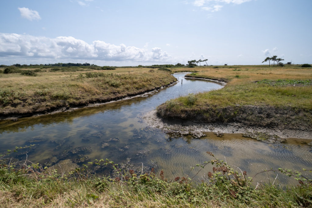 Traversée des marais de Lyarne aux Moutiers-en-Retz