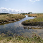 Traversée des marais de Lyarne aux Moutiers-en-Retz