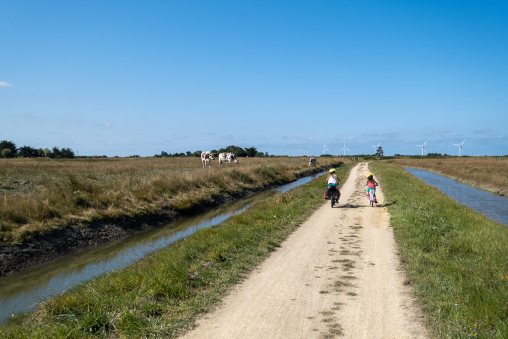 Pistes tranquilles de la Vélodyssée en Vendée