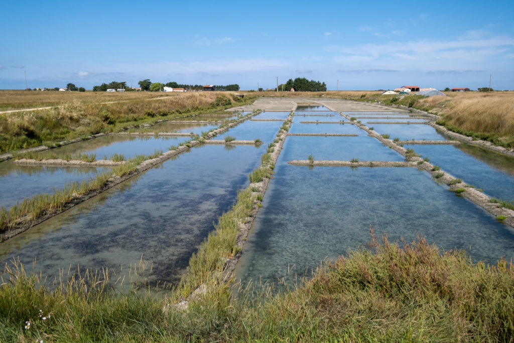 Marais salants en Vendée sur la Vélodyssée