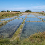 Marais salants en Vendée sur la Vélodyssée
