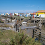 Port des Champs coloré à Bouin