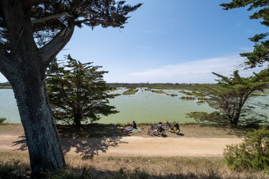 Pause dans la réserve du Polder de Sébastopol sur l'île de Noirmoutier