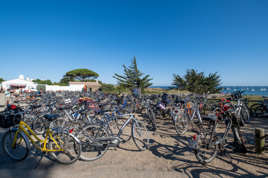 Sur l'île d'Yeu, tout le monde va à la plage à vélo !