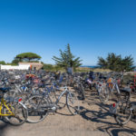 Sur l'île d'Yeu, tout le monde va à la plage à vélo !