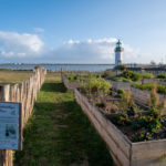 L'estuaire de la Loire à Paimboeuf