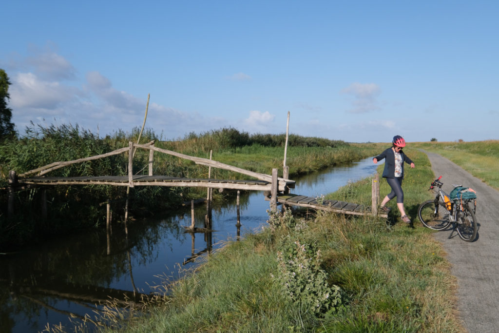 Vélodyssée nature après Paimboeuf le long de l'estuaire de la Loire