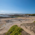 En Vendée sur la Vélodyssée vers les Sables-d'Olonne