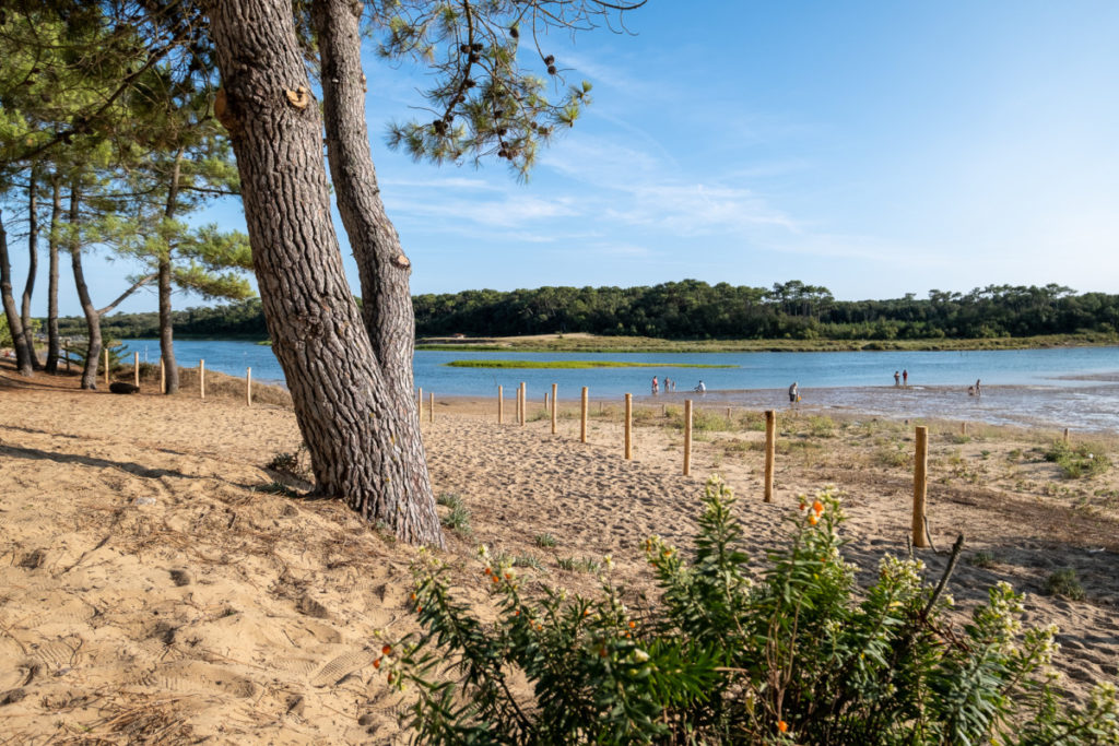 L'estuaire du Payré : un mini-détour dans un espace naturel remarquable