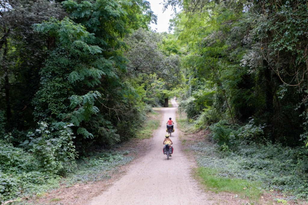 Petites montagnes russes sur les pistes forestières de la Vélodyssée en Vendée