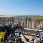 Halte dans la réserve naturelle de la Belle Henriette en Vendée