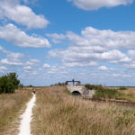 La Vélodyssée passe aussi par des sentiers champêtres