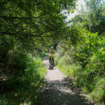 Paysages très variés sur la Vélodyssée entre Nantes et La Rochelle