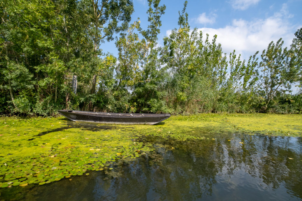 Au bord de la Sèvre Niortaise dans la Marais Poitevin