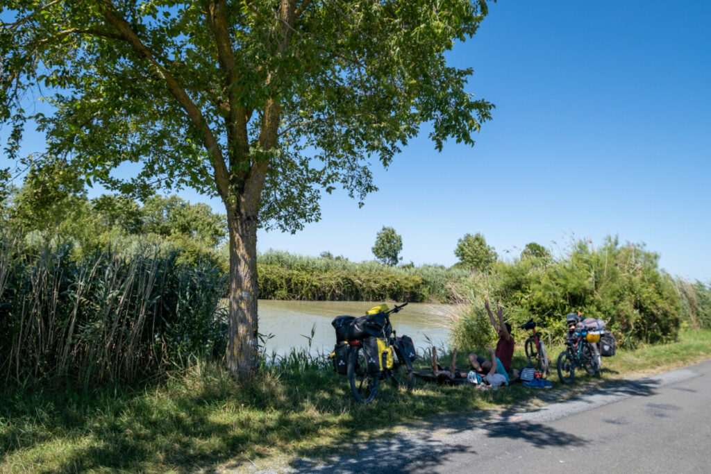 Il suffit d'un arbre et le tour est joué pour la pause ! 