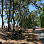 Trouver de l'ombre dans les forêts de pin sur la Vélodyssée n'est pas si évident !