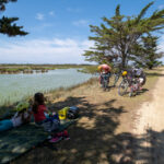 Pause pique-nique à l'ombre dans une réserve naturelle de Noirmoutier sur la Vélodyssée.