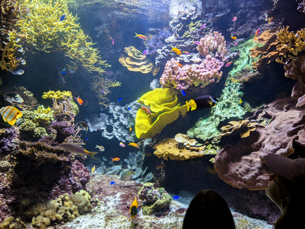 Et pourquoi pas une pause au frais dans un musée lorsqu'on voyage à vélo en famille ? 