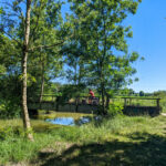 Vers le lac de Trizay en Saintonge