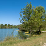 Petit détour vers lac de Trizay en Saintonge