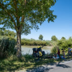 Il suffit d'un arbre pour pique-niquer à l'ombre en voyage à vélo pendant la canicule !
