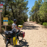 Entre dunes, forêt et océan en Charente-Maritime sur la Vélodyssée