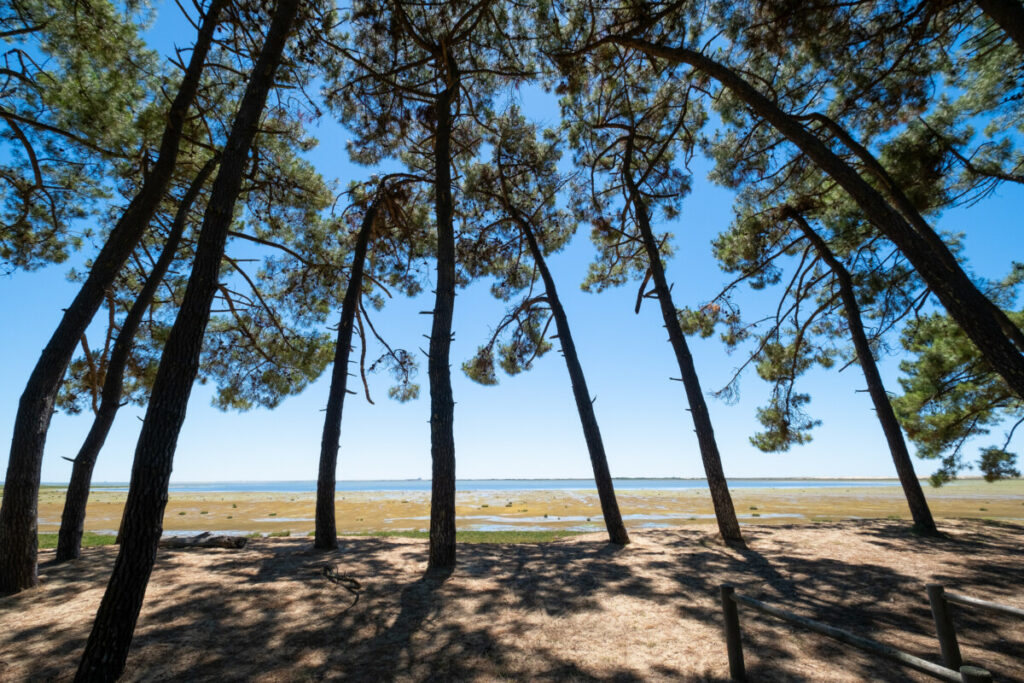 La Côte Sauvage : un de nos coups de coeur de la Vélodyssée