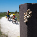 L'océan à vélo en famille