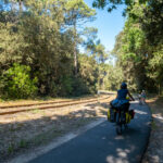 Voie verte le long d'une ancienne voie de chemin de fer dans le Médoc