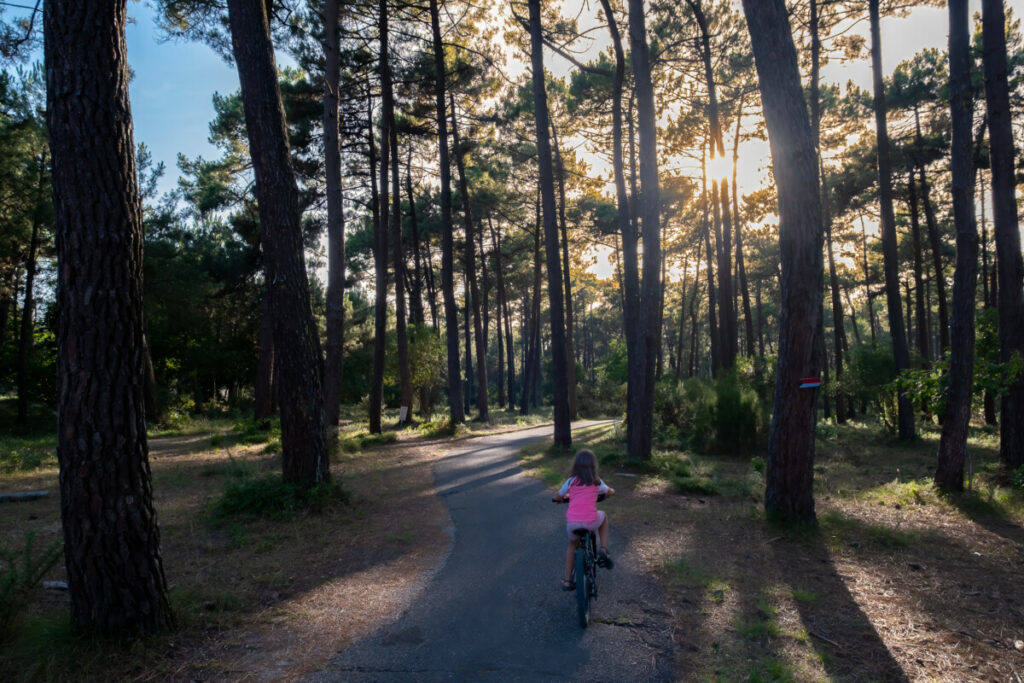 Traverser à vélo les forêts de pins au bord de l'océan