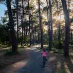 Traverser à vélo les forêts de pins au bord de l'océan